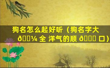 狗名怎么起好听（狗名字大 🌼 全 洋气的顺 🍀 口）